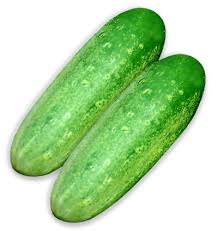 Pepino Orgânico-0