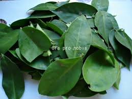 Ora Pro Nobis-0